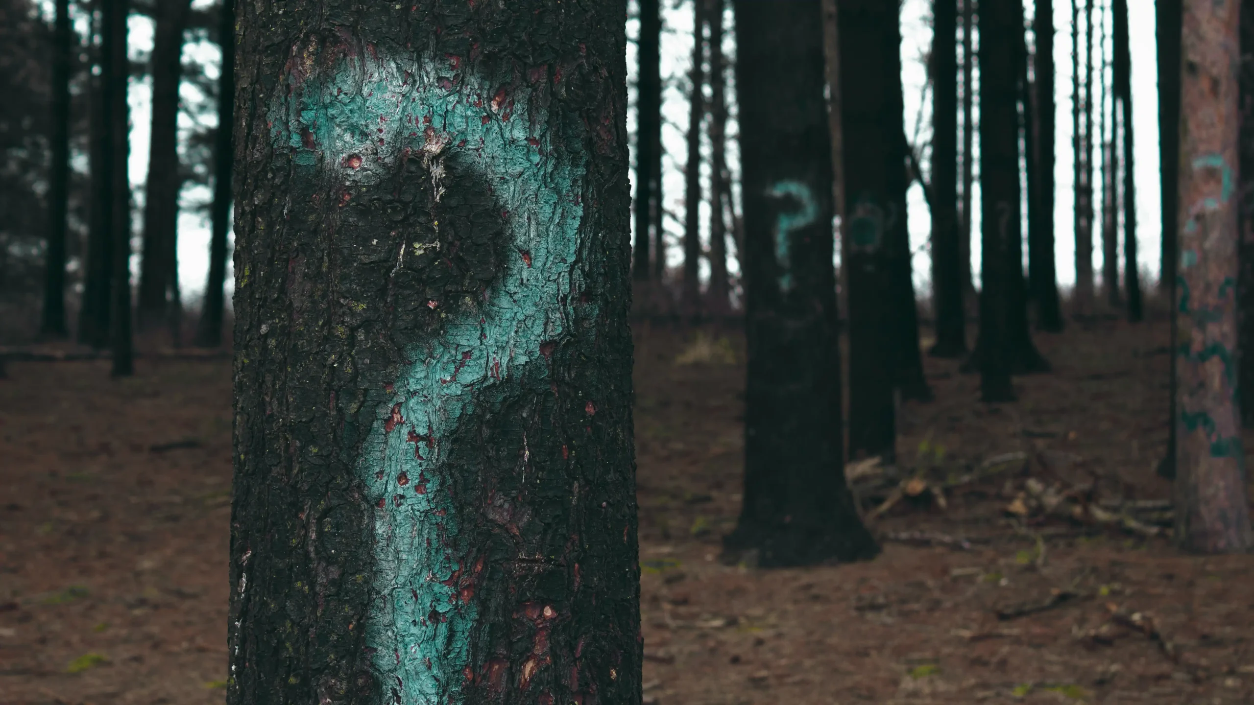 By What Authority Featured image