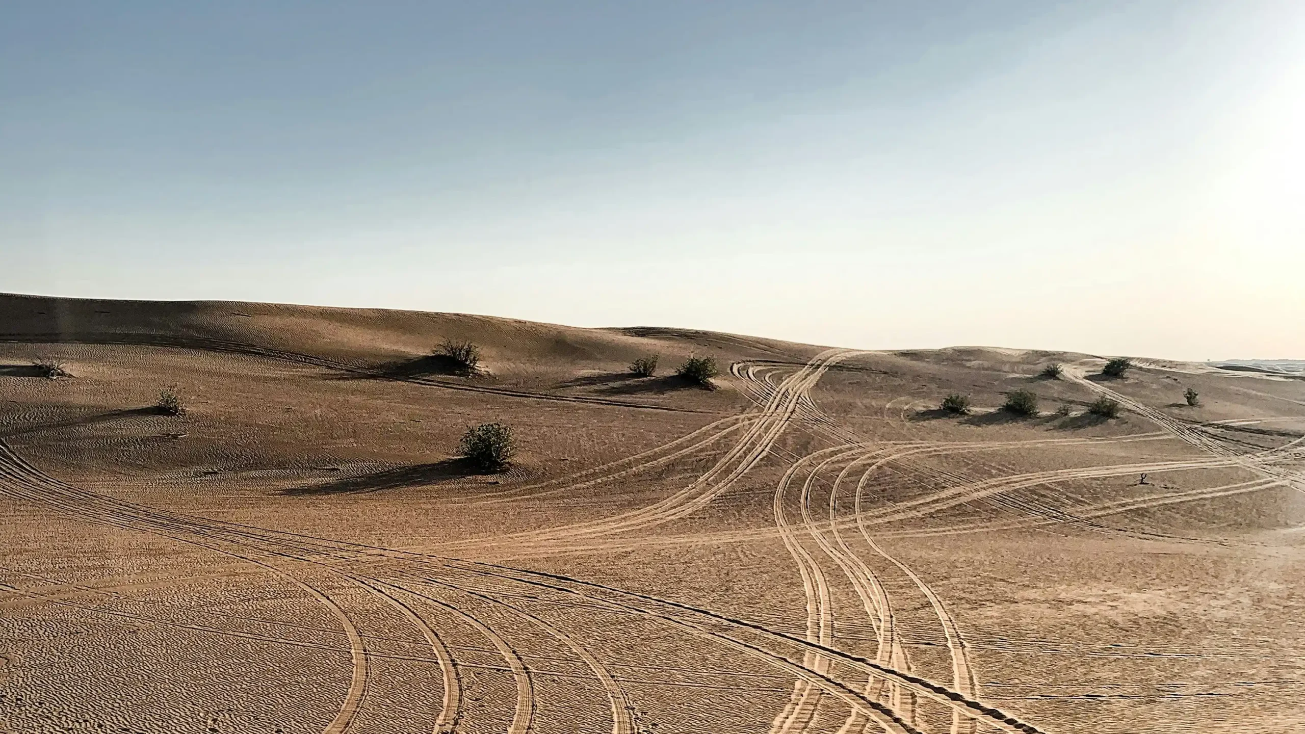 Path in the wilderness